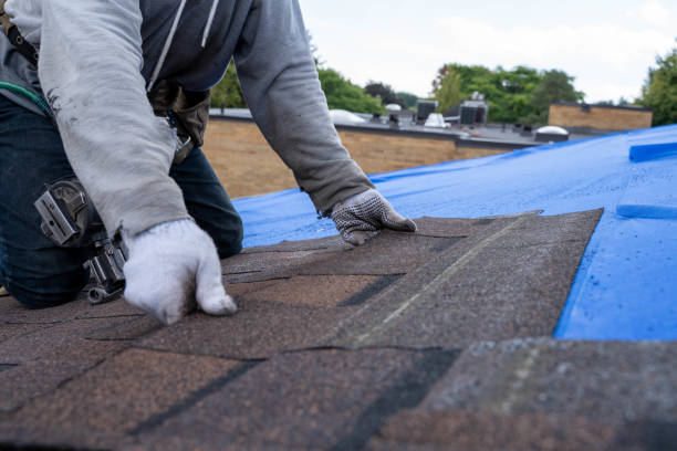 Professional Roofing Contractor in Tarkio, MO