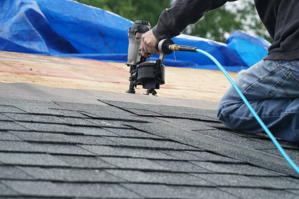 Best Shingle Roofing Installation  in Tarkio, MO