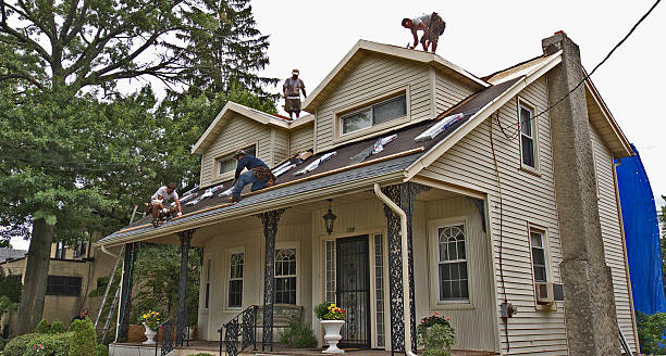 Best Commercial Roofing Services  in Tarkio, MO